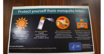 zika virus natural protection