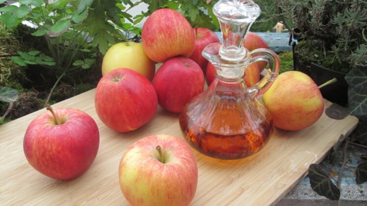 apple cider vinegar