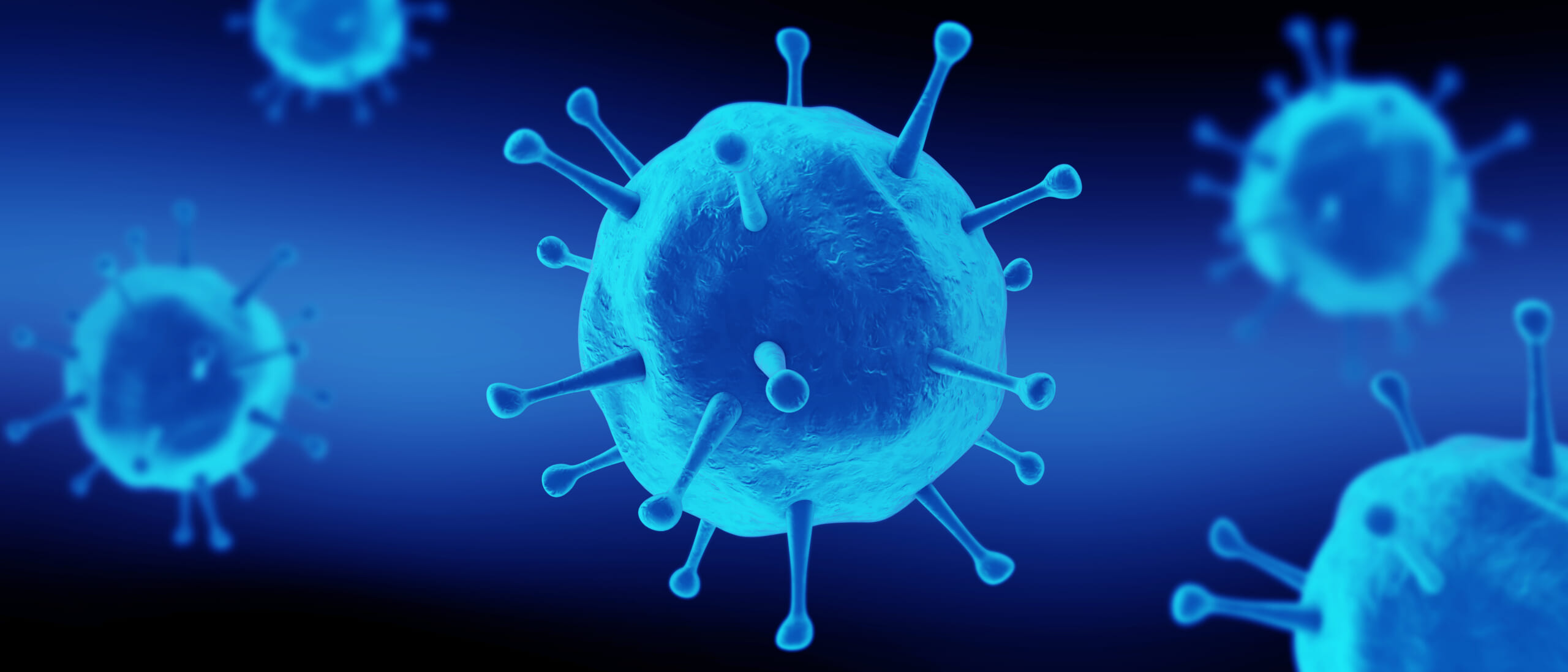 Nipah Virus New Deadly Virus on WHO’s Top 10 for Likely Major Outbreak