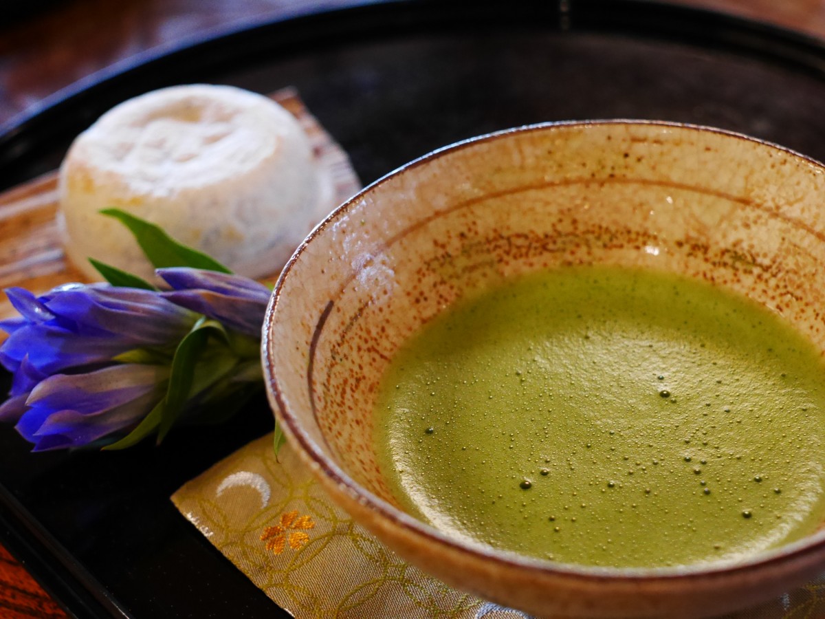 Matcha powder drink