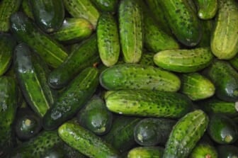 Why Diabetics Should Try Eating Cucumber