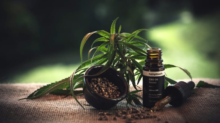 CBD Oil