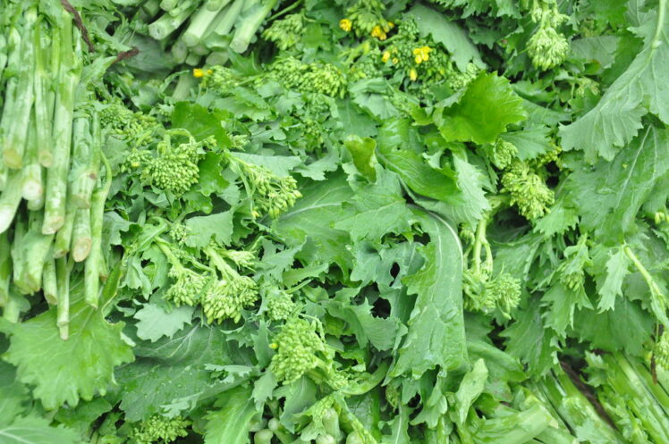 broccoli rabe