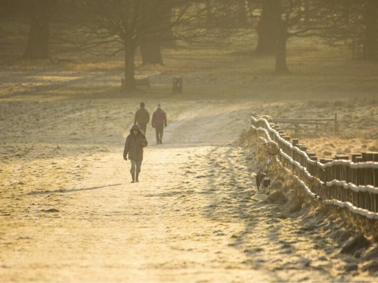 Immune System Winter Workouts Unsplash