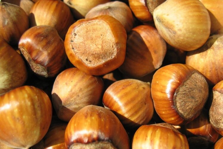 Huzelnuts