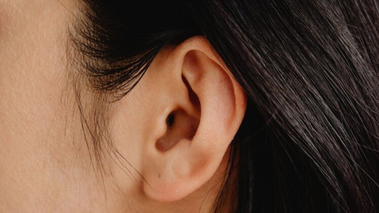 A close up of an ear.